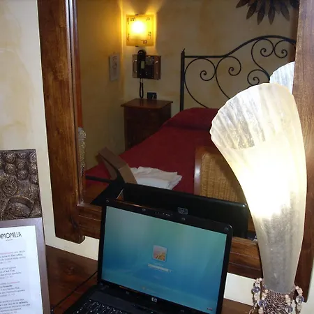 Viennese Due Pensionat 2*